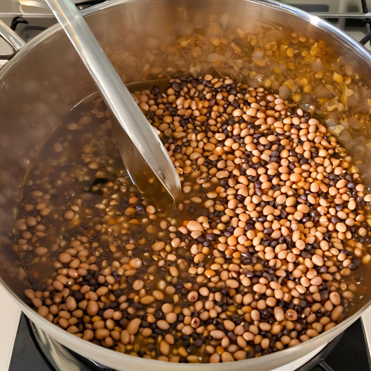 Add the soaked lentils and beans