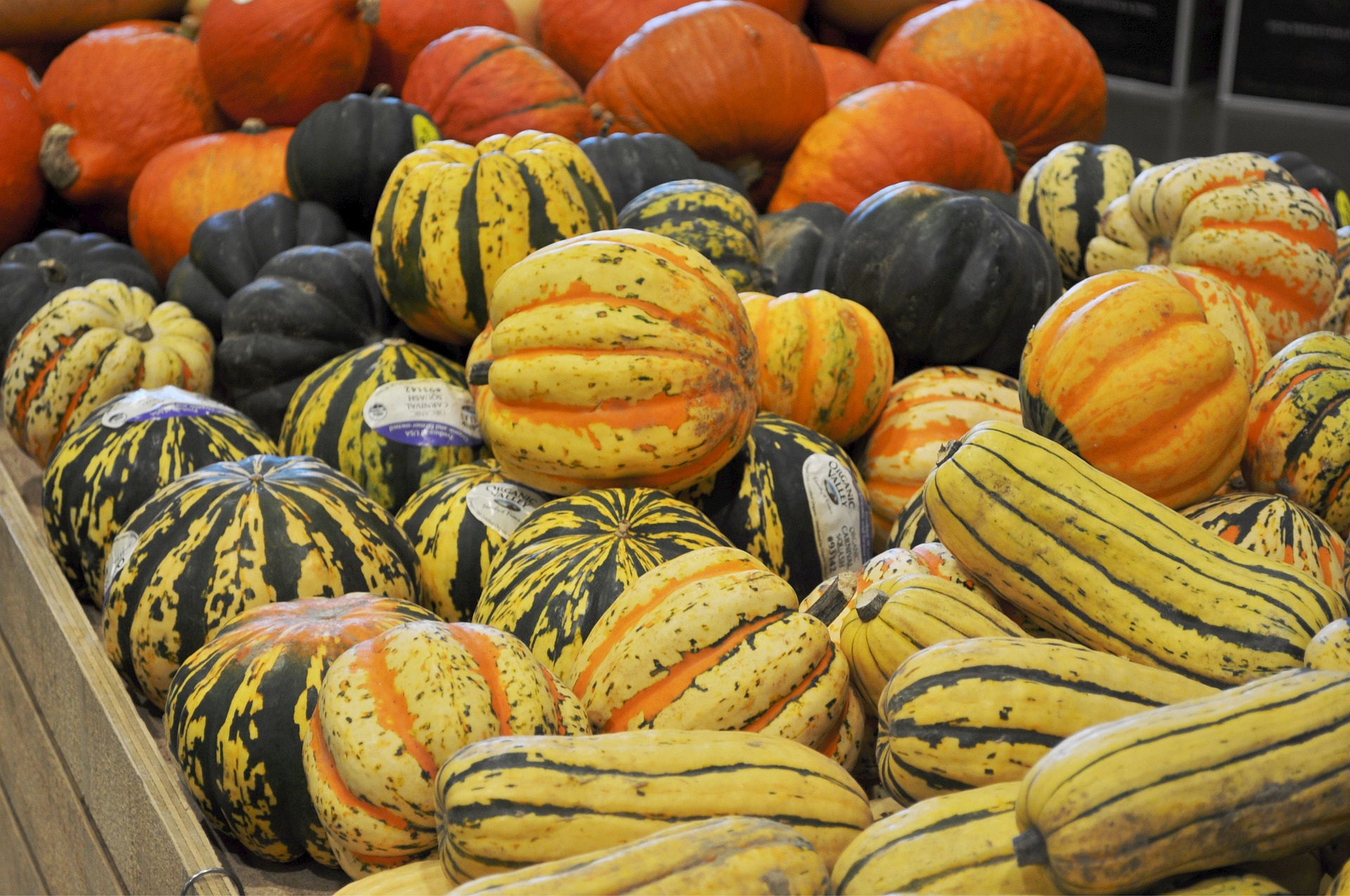 Thai Pumpkin Curry Recipe Ingredients Kabocha Butternut Squash